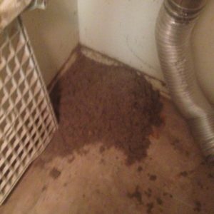 Dryer Vent Cleaning